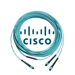 DFN50343 ENTERPRISE NETWORK (PK)