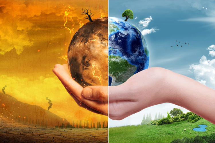 DCC50492: ENVIRONMENTAL POLLUTION & CONTROL